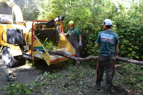 tree services Conrad